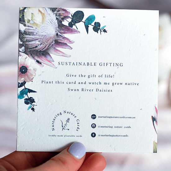 Nurturing Nature Cards - Protea