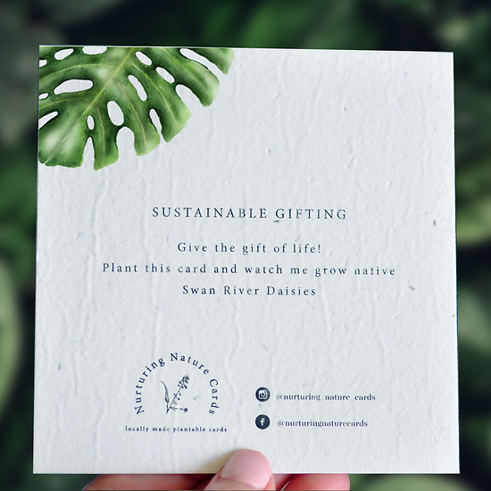 Nurturing Nature Cards - Tropic