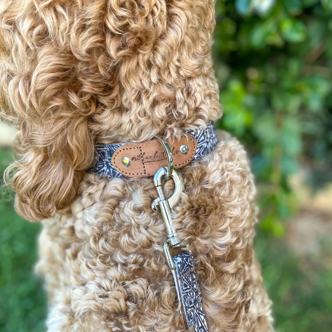 Outback Tails - Leather Dog Lead - Mina Mina