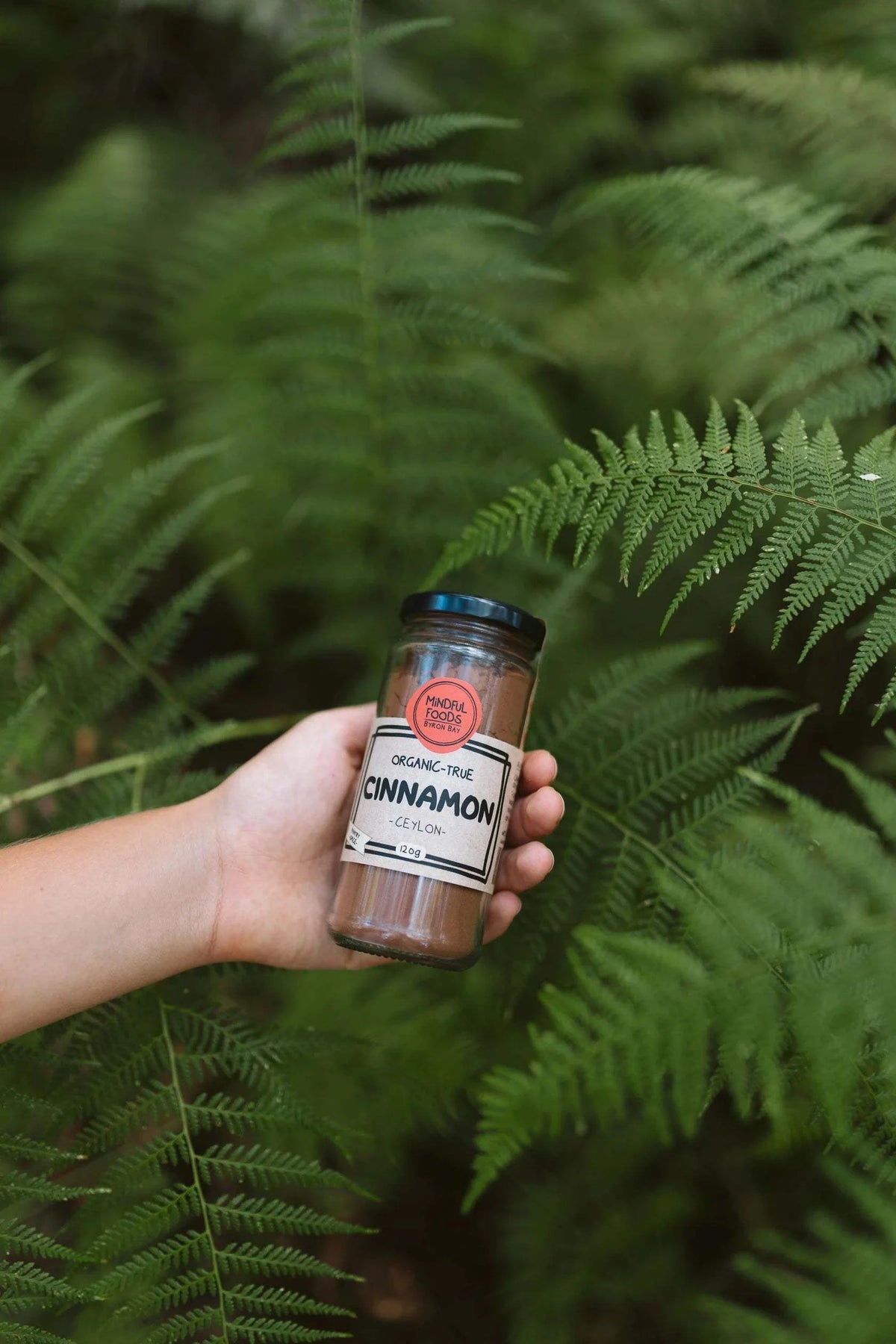 Mindful Foods - Cinnamon