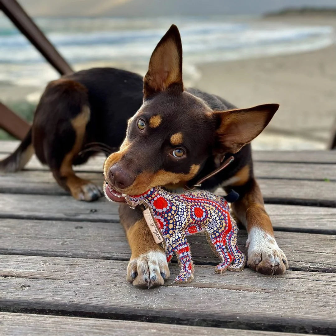 Outback Tails - Desert Dog Chew Toy - Trevor