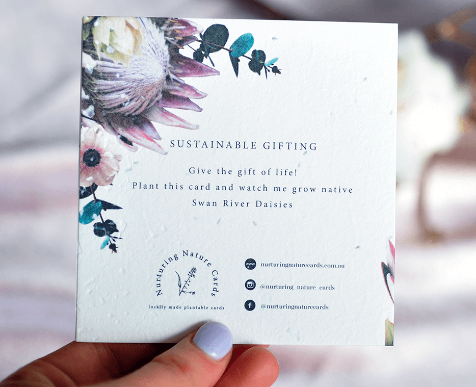 Protea Plantable Greeting Card