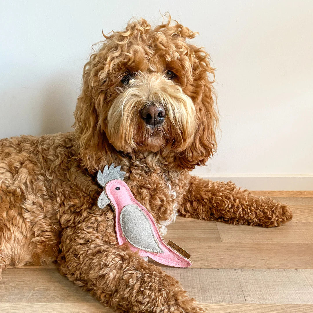 Outback Tails - Outback felt toy - Gertie Galah