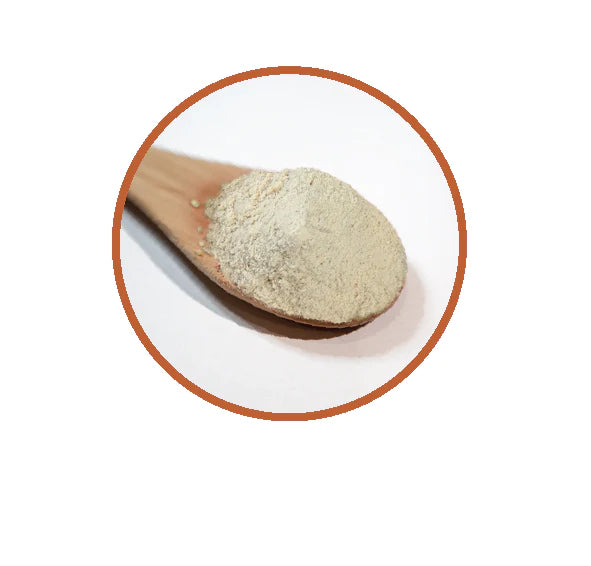 Natif - Bunya Nut Meal 100g