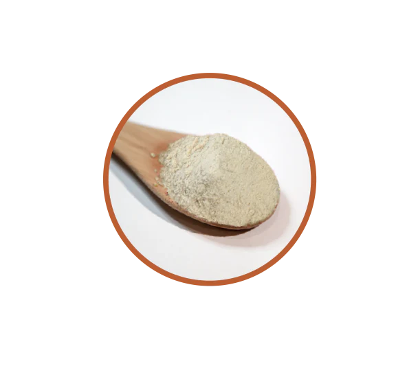 Natif - Boab Powder 20g