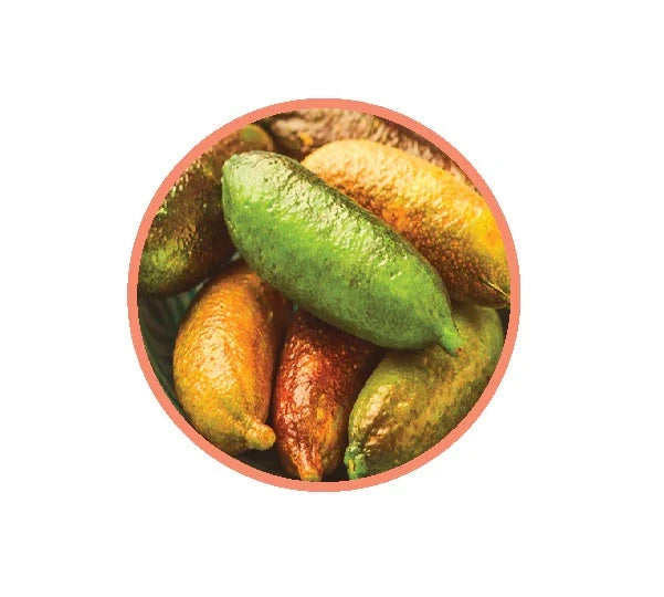 Natif - Fingerlime Powder - 20g