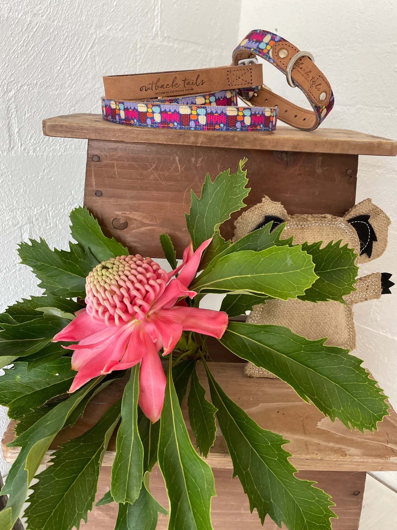 Outback Tails - Leather Dog Collar - Puli Puli Multicoloured