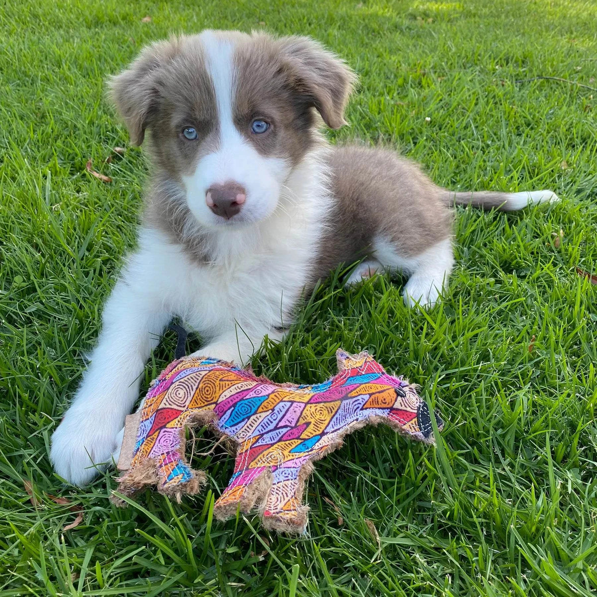 Outback Tails - Desert Dog Chew Toy - Ben