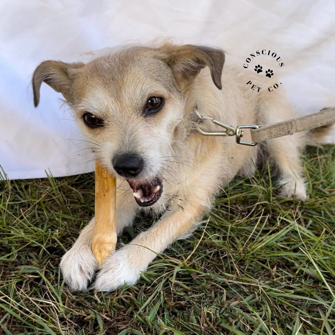 Conscious Pet Co - Coffee Wood Chew Toys