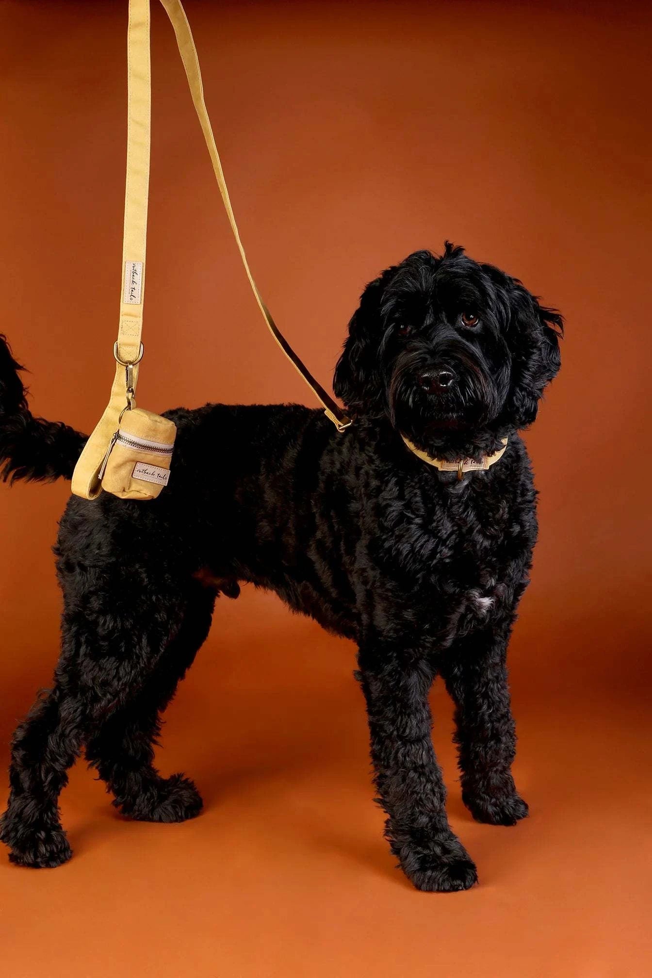 Outback Tails - Waxed Canvas Pick-Up Bag Holder (yellow)