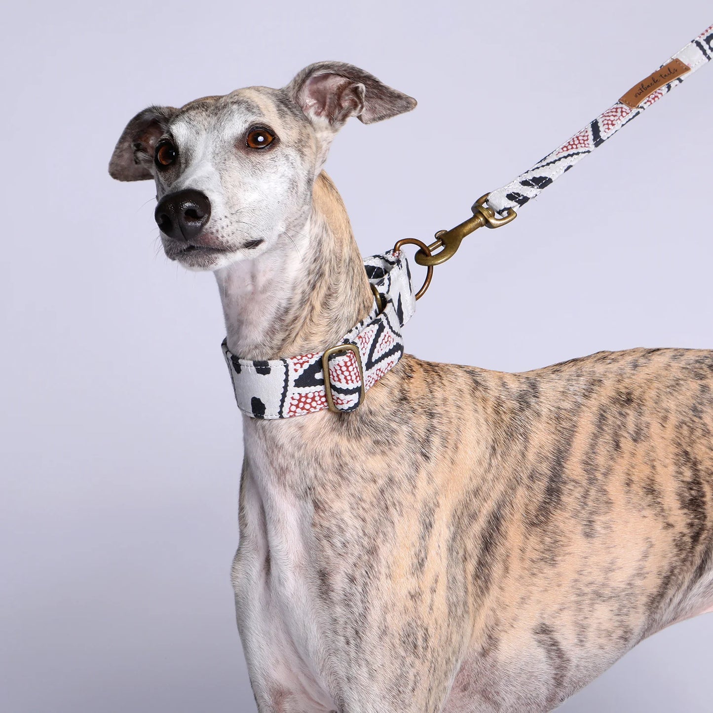 Outback Tails - Canvas Dog Lead - Vaughn Springs