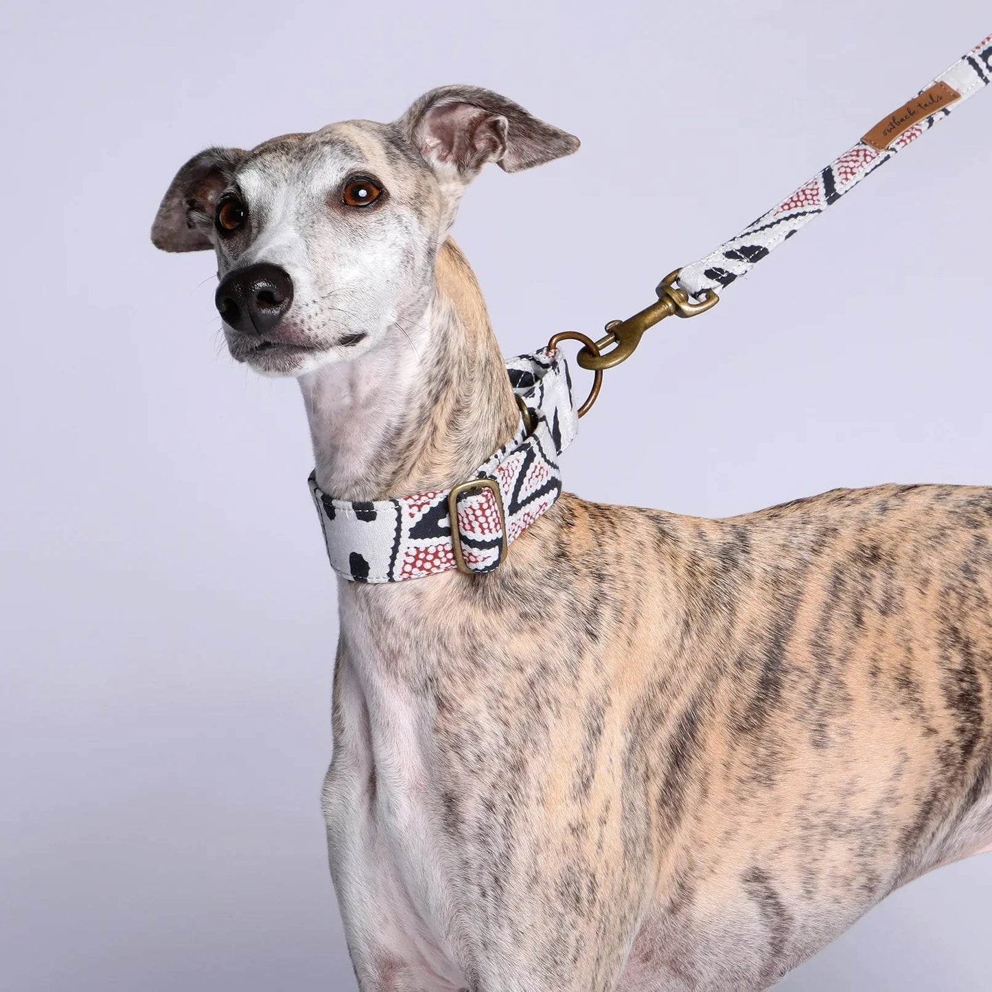 Outback Tails - Canvas Dog Lead - Vaughn Springs