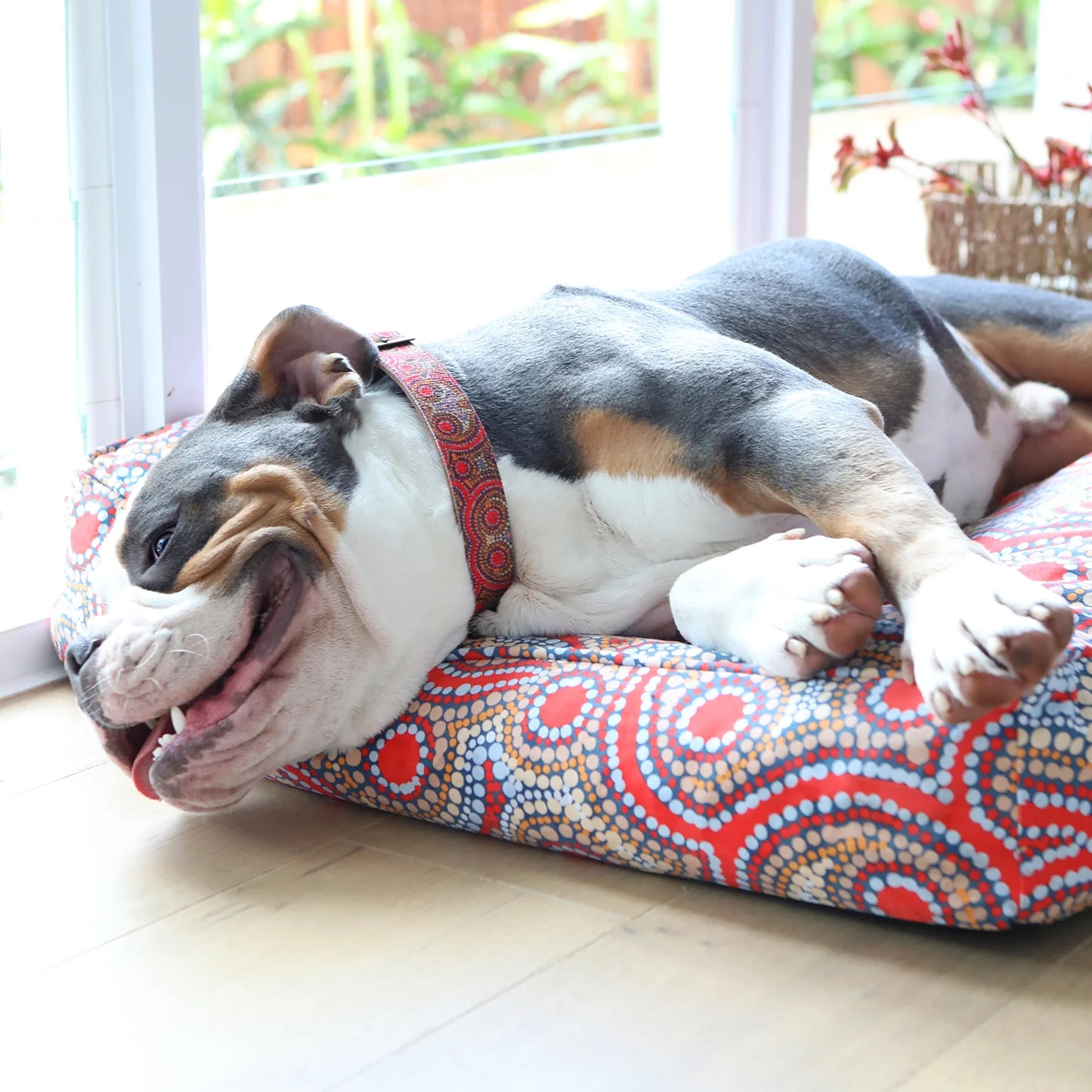 Outback Tails - Rectangular Therapeutic Dog Bed - Snake Dreaming