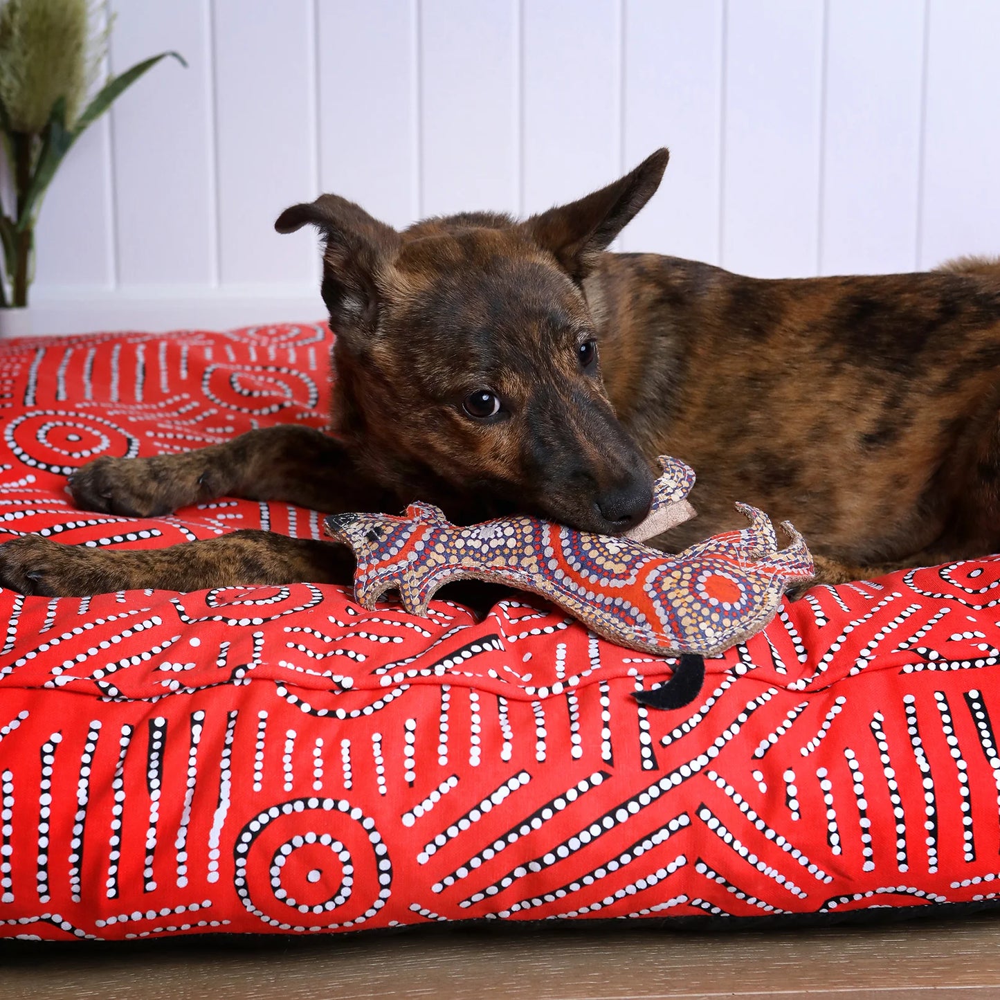 Outback Tails - Desert Dog Chew Toy - Trevor