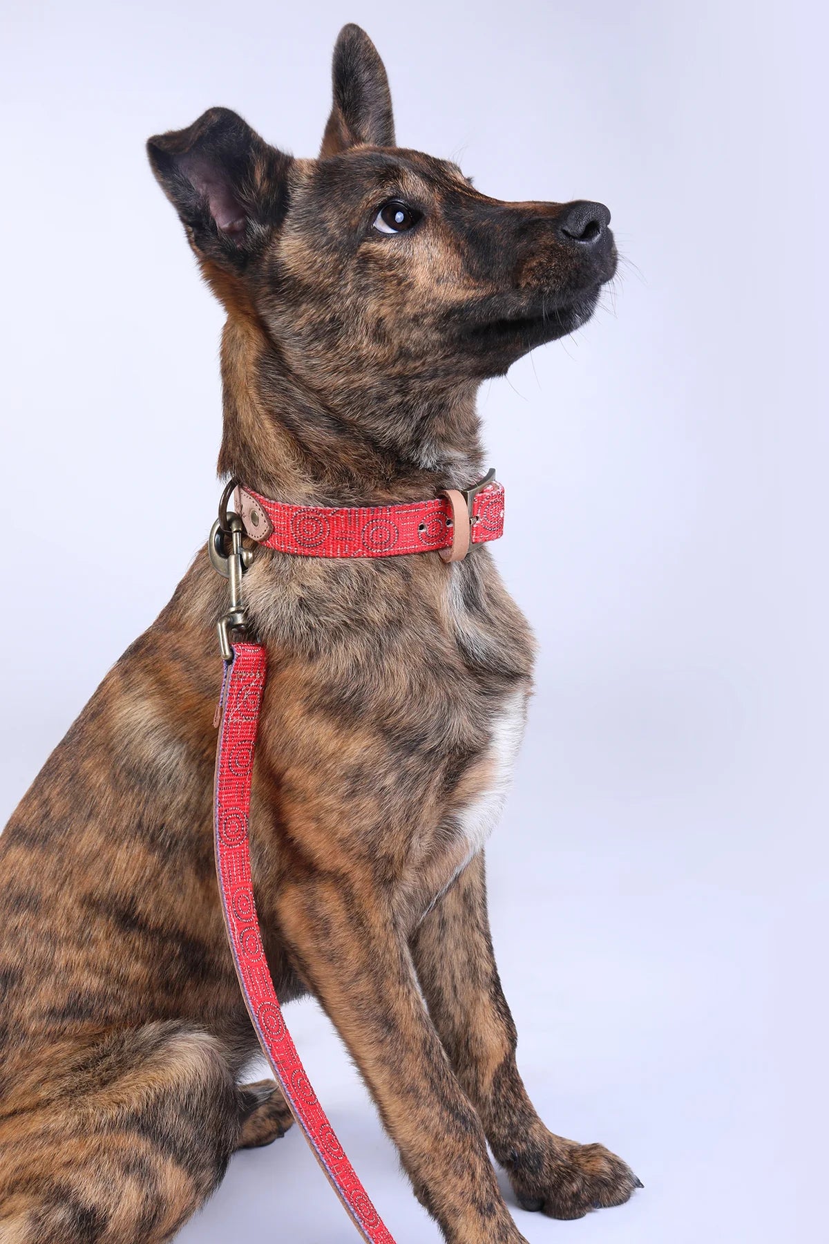 Outback Tails - Leather Dog Lead - Water Dreaming