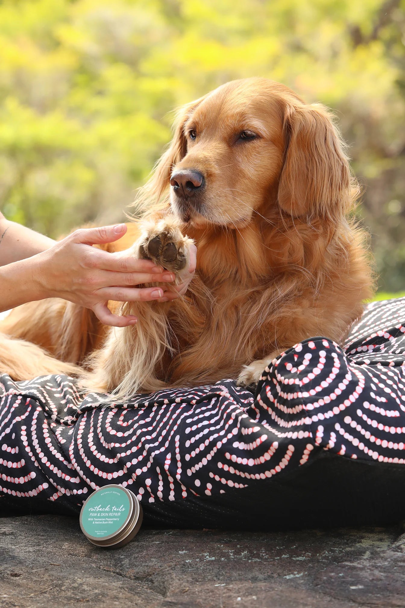 Outback Tails - Paw & Skin repair with Tasmanian Pepper Berry & Bush Mint