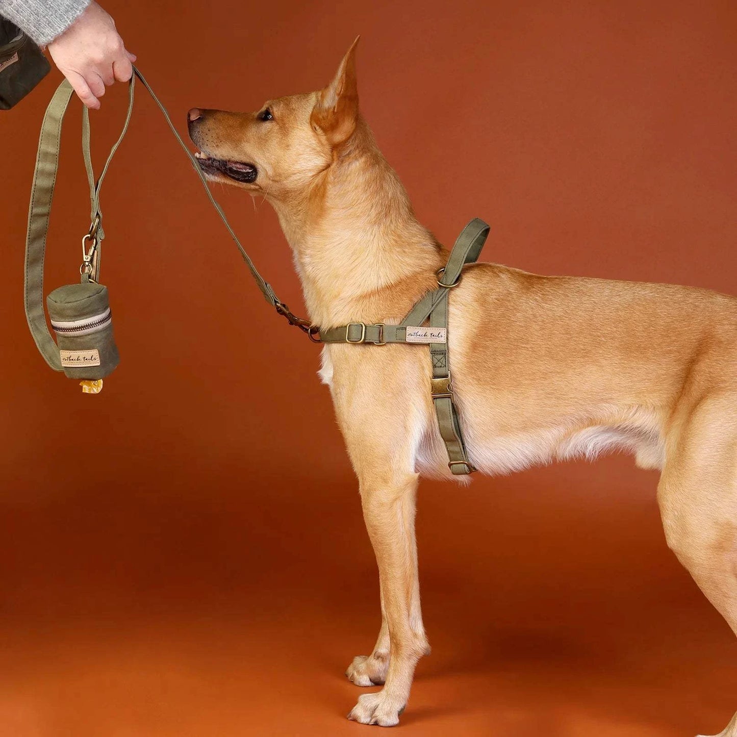 Outback Tails - Waxed Canvas Pick-Up Bag Holder (green)