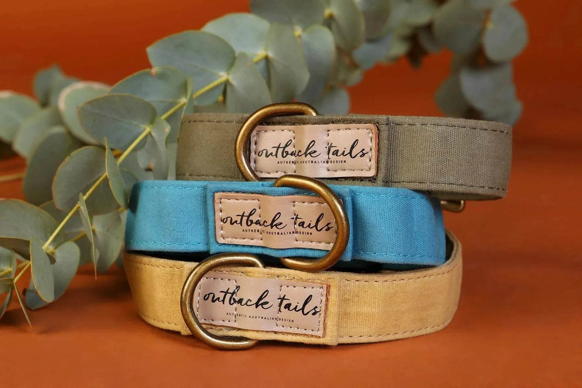 Outback Tails - Waxed Canvas Dog Collar (green)