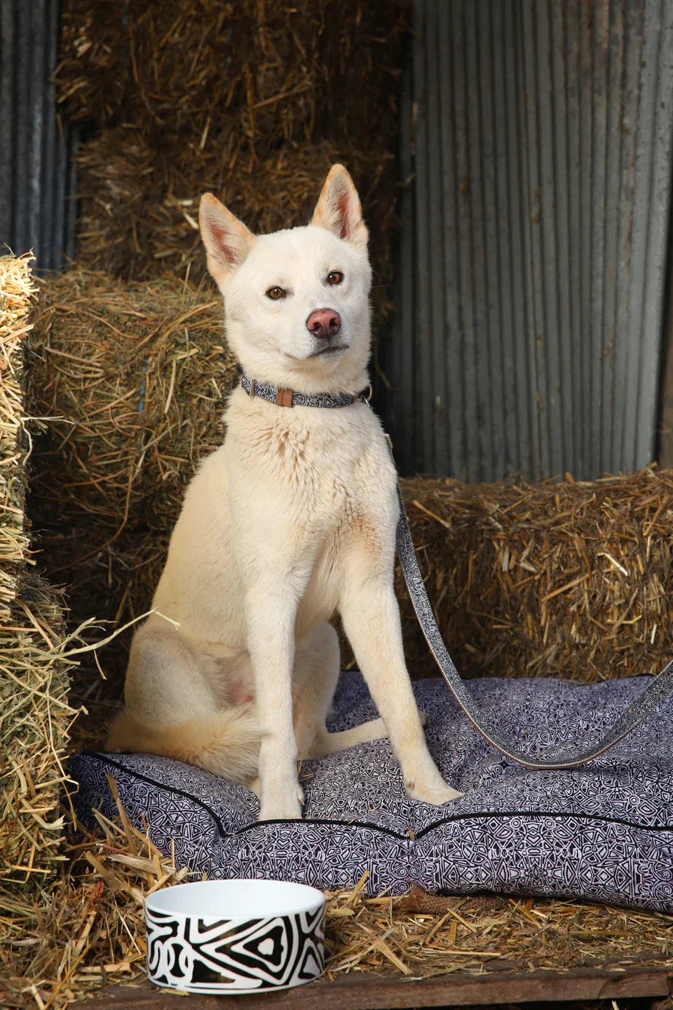 Outback Tails - Leather Dog Lead - Mina Mina