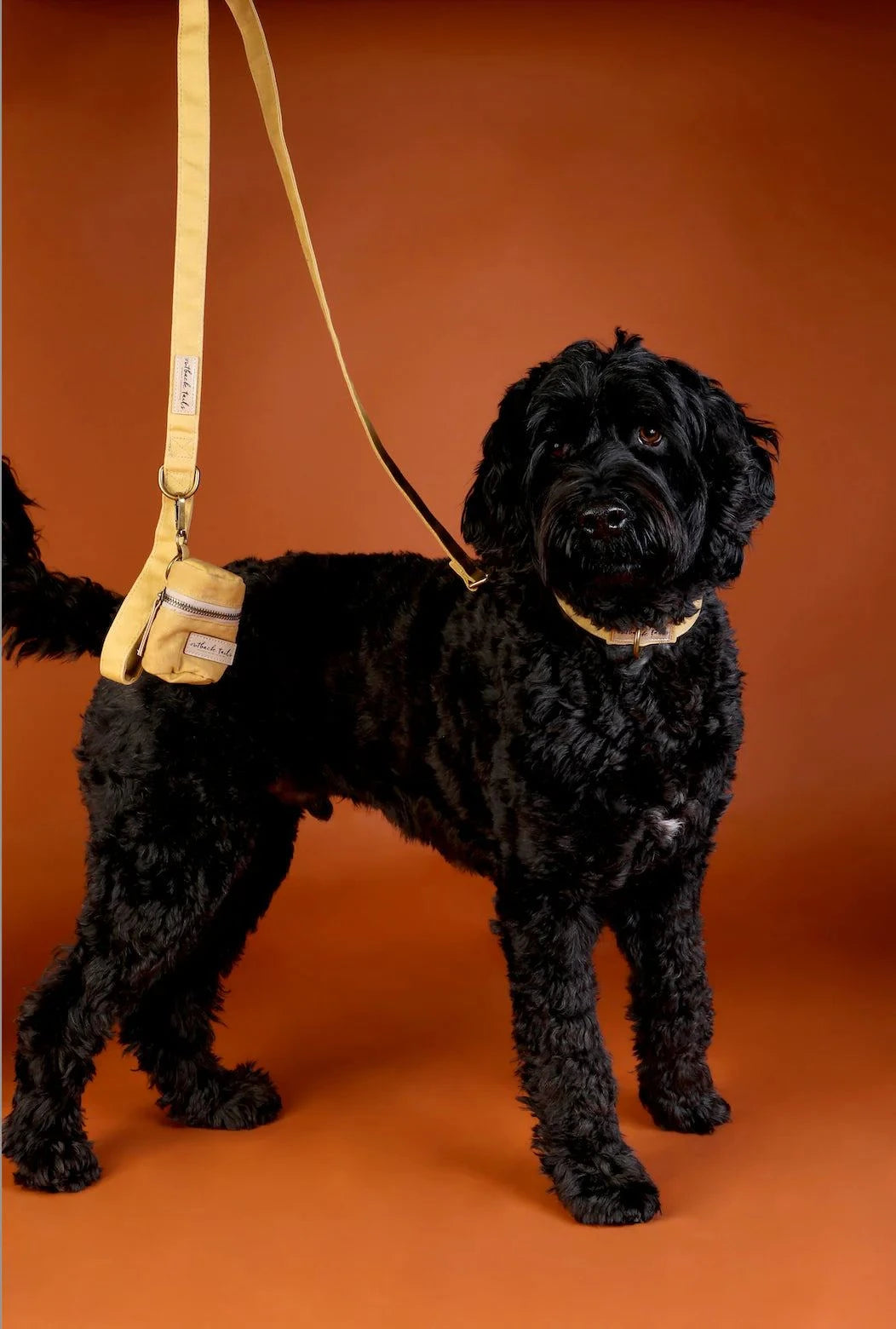 Outback Tails - Waxed Canvas Dog Lead (yellow)