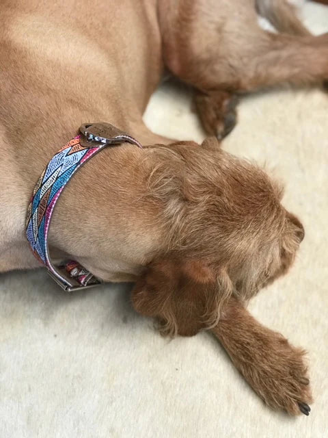 Outback Tails - Leather Dog Collar - Sand Dunes