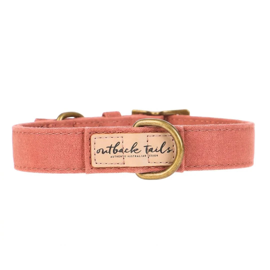 Outback Tails - Waxed Canvas Dog Collar (clay)