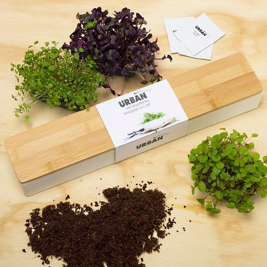 Urban Greens - Microgreens Window Sill Box
