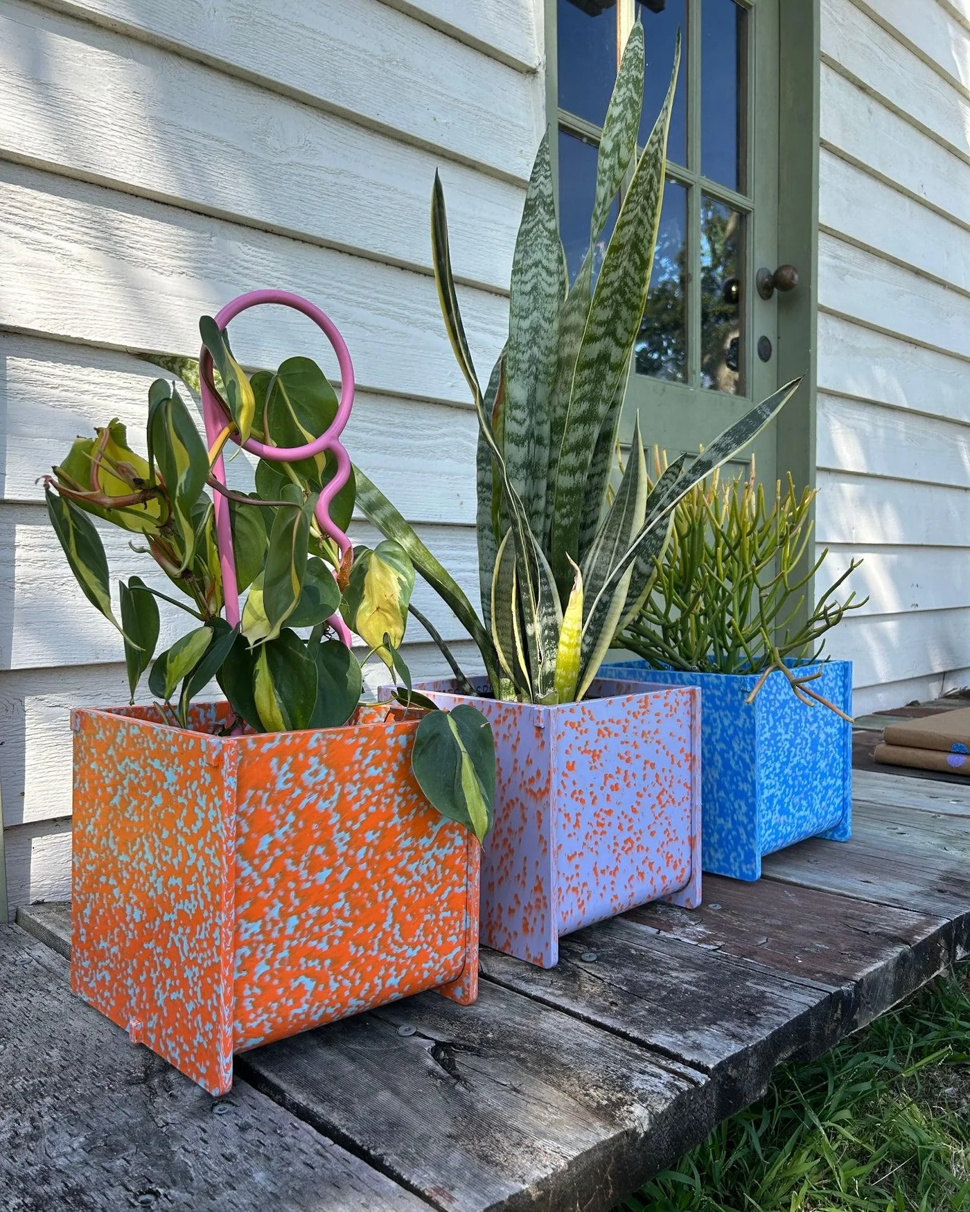 Potato and Sprout - Planter Pot + Drip Tray - Medium