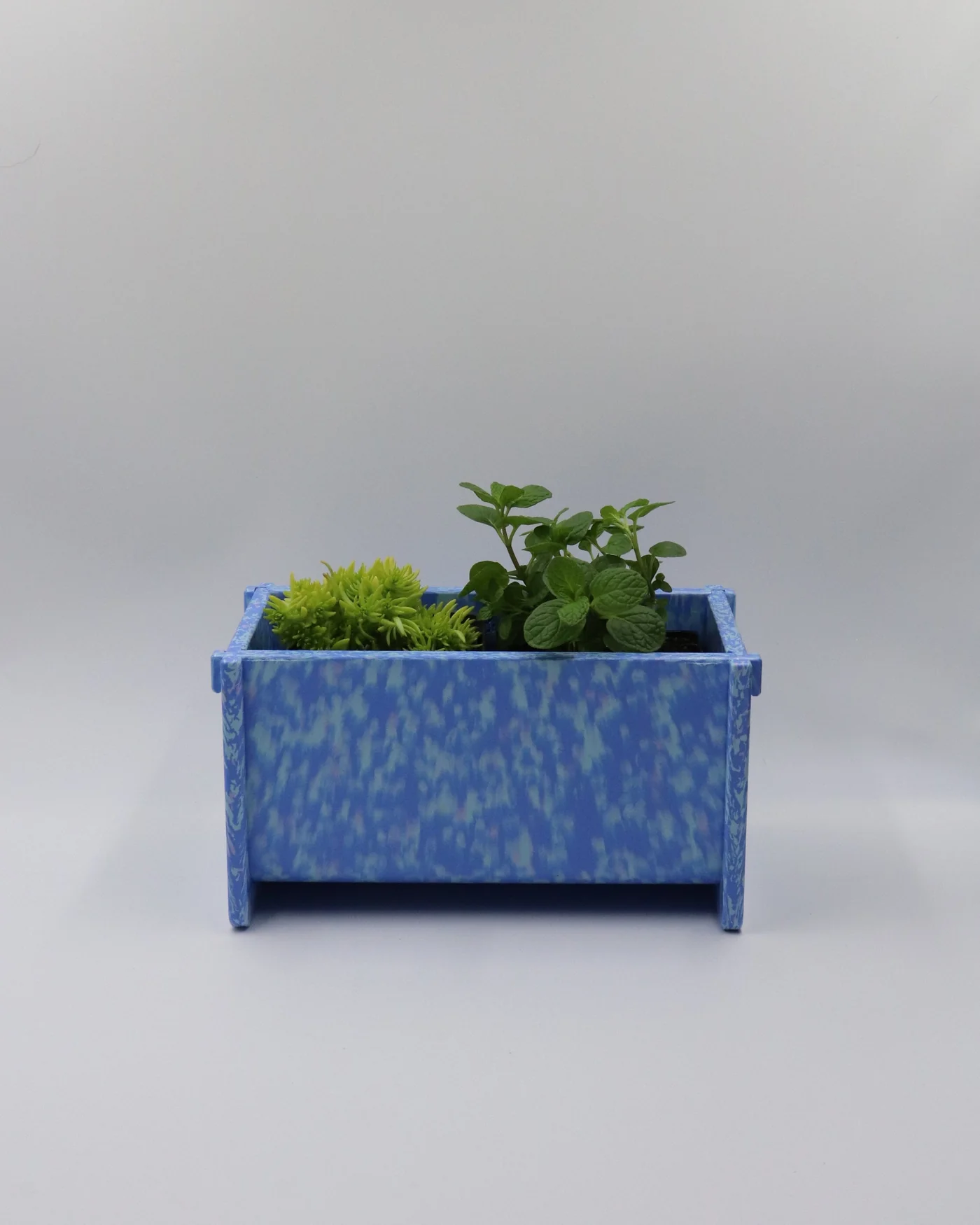 Potato and Sprout - Planter Pot + Drip Tray - Small Long