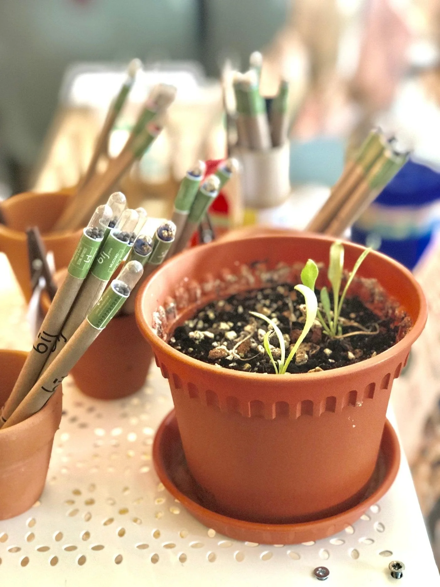 Left-Handesign | Plantable BĪJ Pen, Spinach