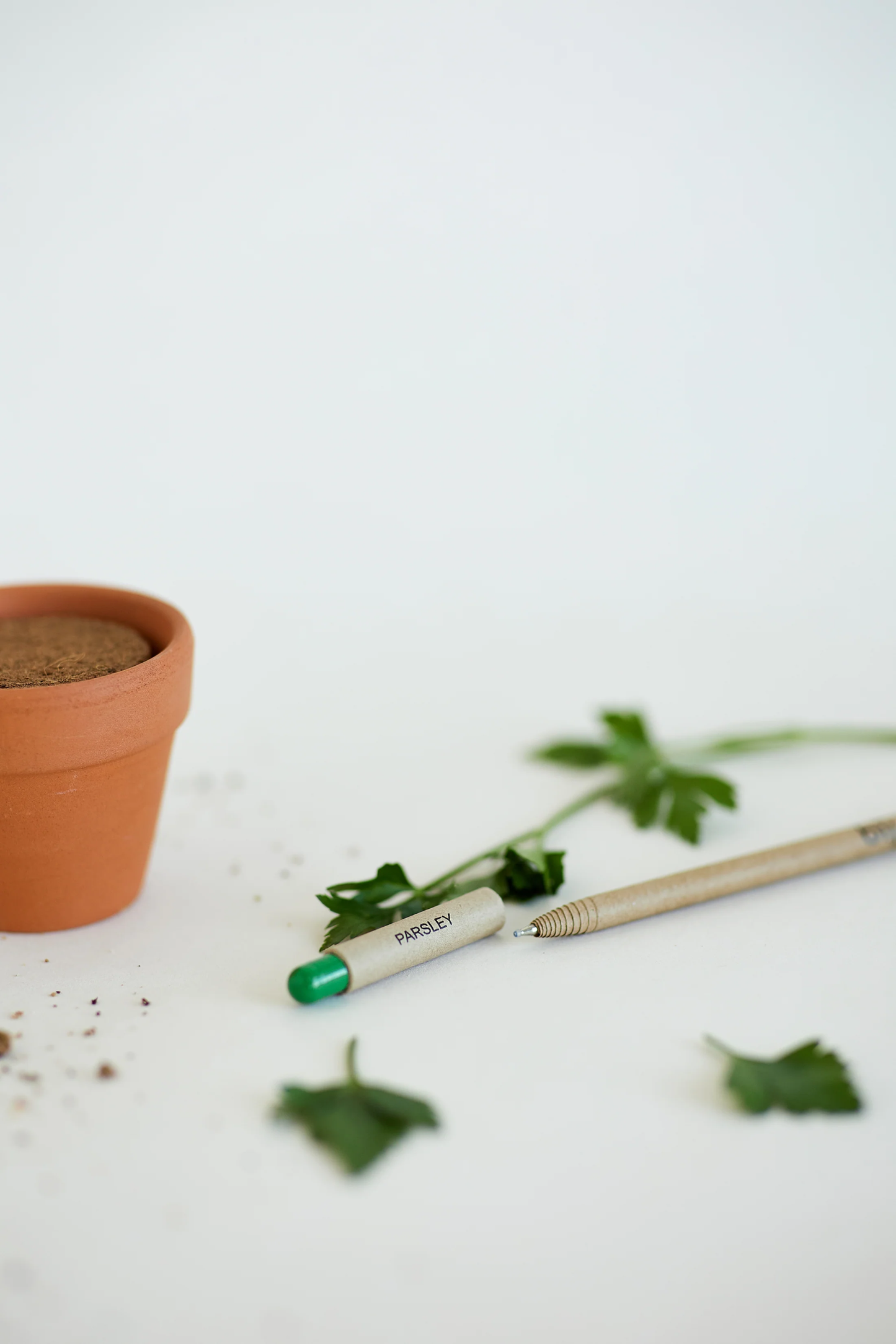 Left-Handesign | Plantable BĪJ Pen, Parsley Green Tip