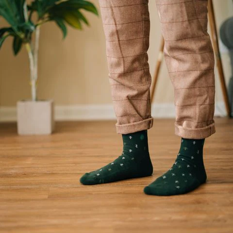 Conscious Step - Pair: Socks that plant trees (pine)