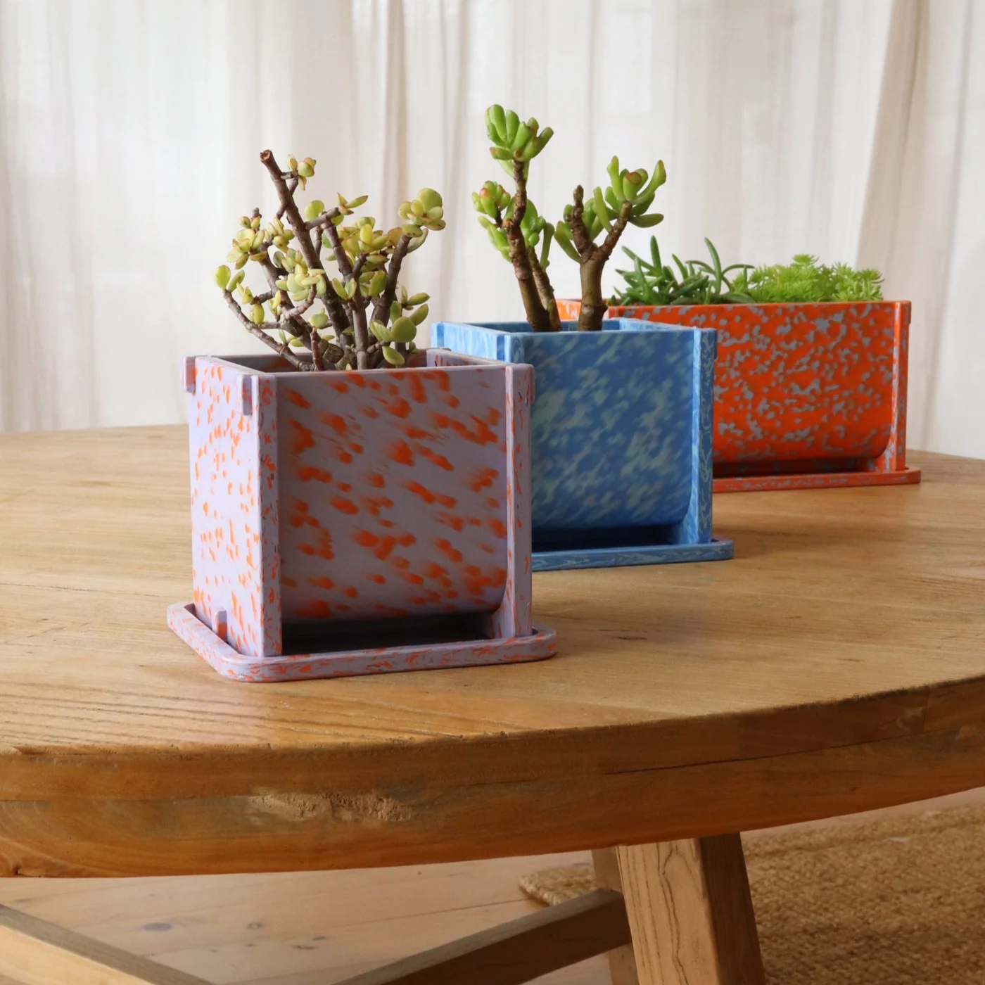 Potato and Sprout - Planter Pot + Drip Tray - Small