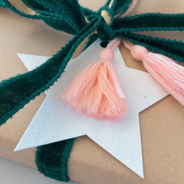 Hello Petal - Star Plantable Gift Tag and Tassel