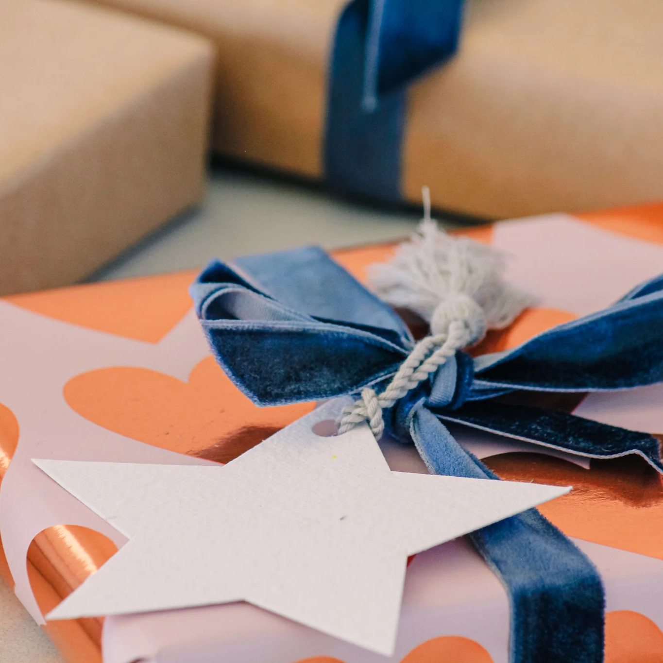 Hello Petal - Star Plantable Gift Tag and Tassel