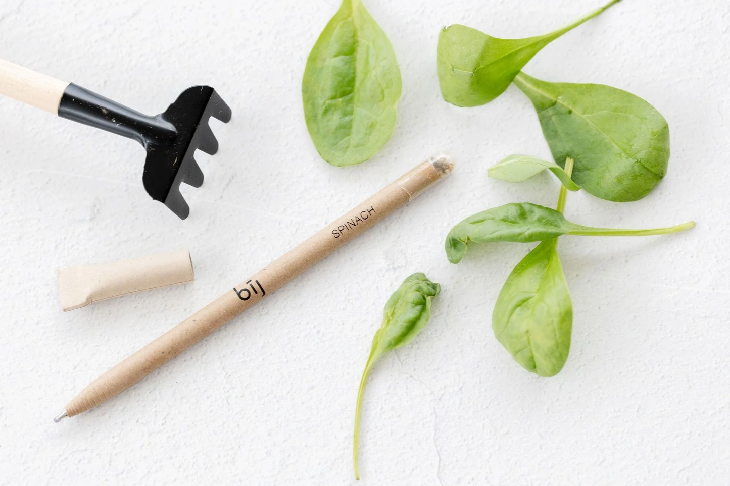 Left-Handesign plantable BĪJ pen with spinach seeds and gardening tools on white surface.