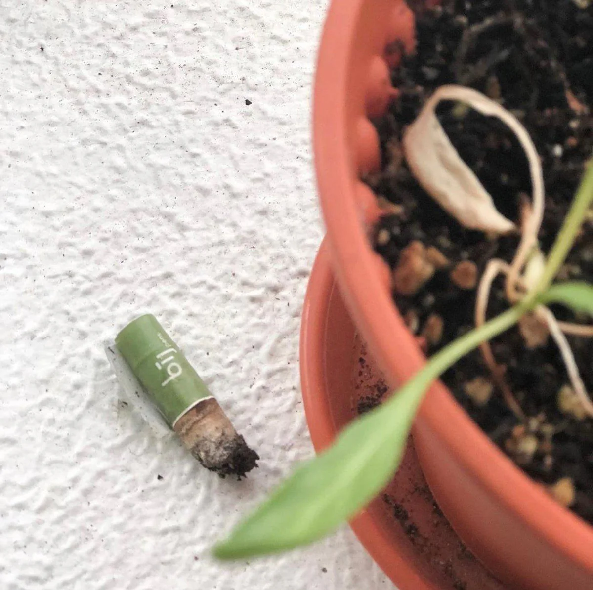 Left-Handesign | Plantable BĪJ Pen, Mustard Yellow Tip