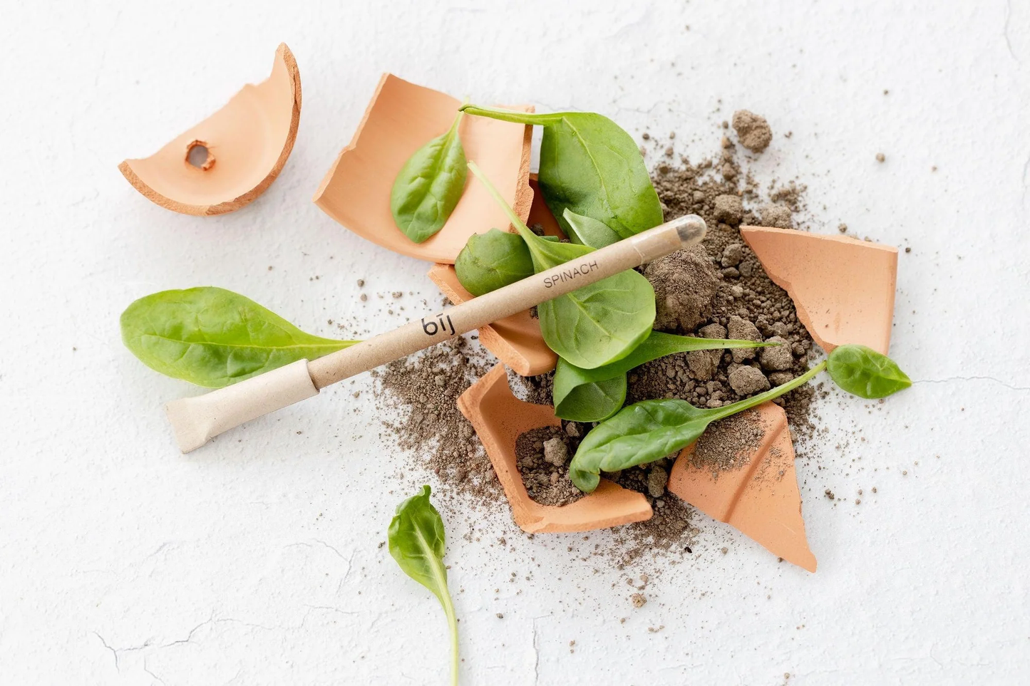 Left-Handesign | Plantable BĪJ Pen, Spinach