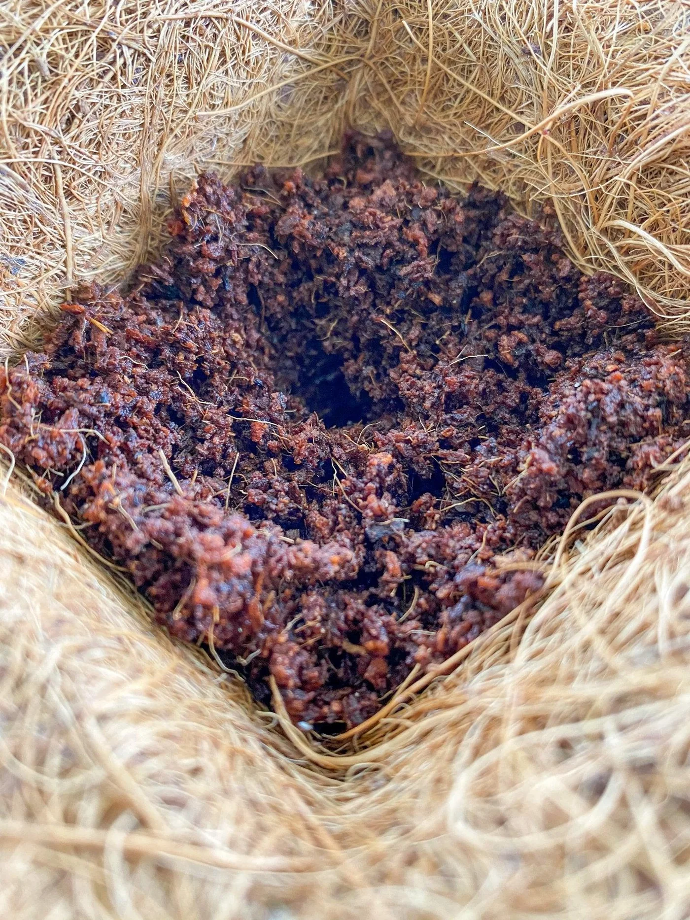 Left-Handesign | Coco Pot + Coco Peat