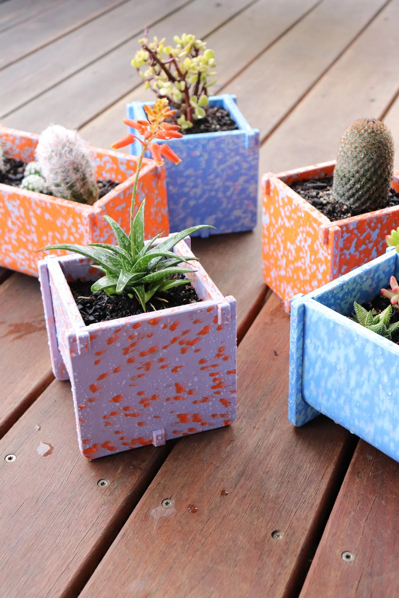 Potato and Sprout - Planter Pot + Drip Tray - Small