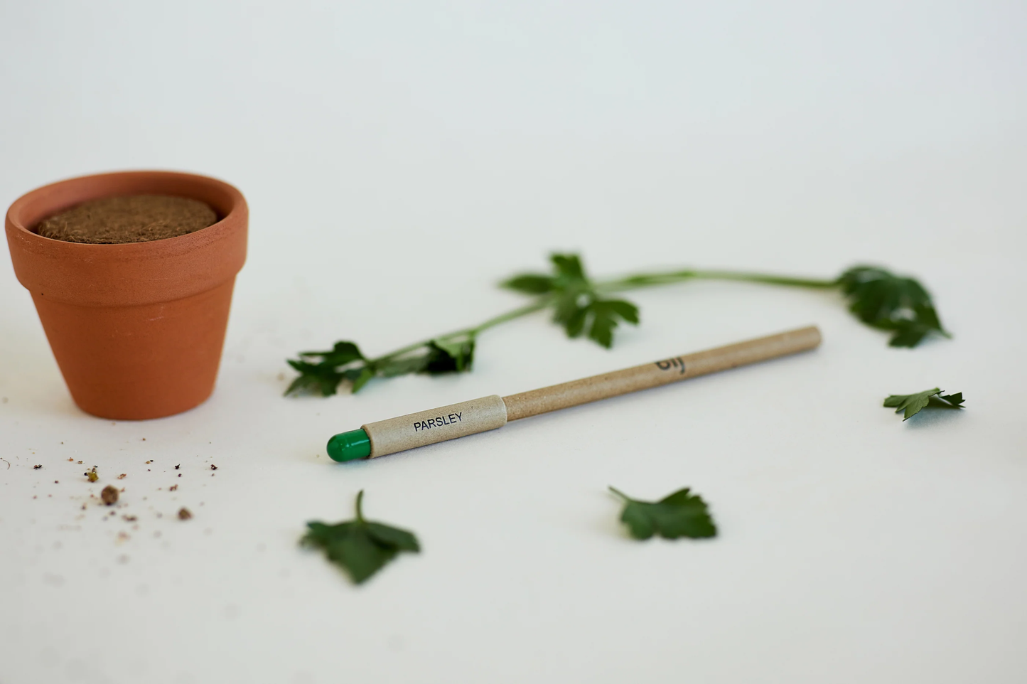 Left Handesign plantable BĪJ pen with parsley green tip and terracotta pot.