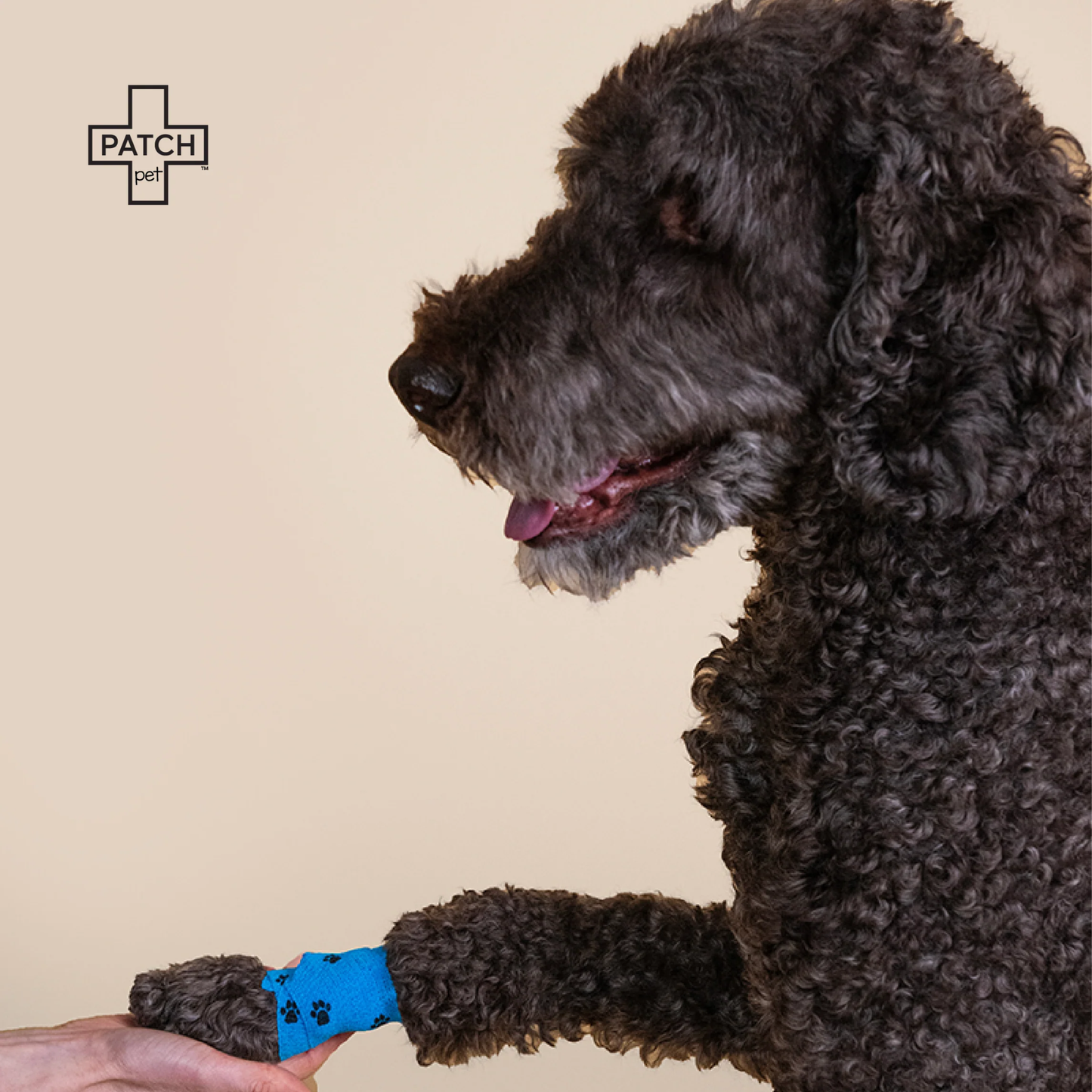 Patch - First-Aid Kit for Pets