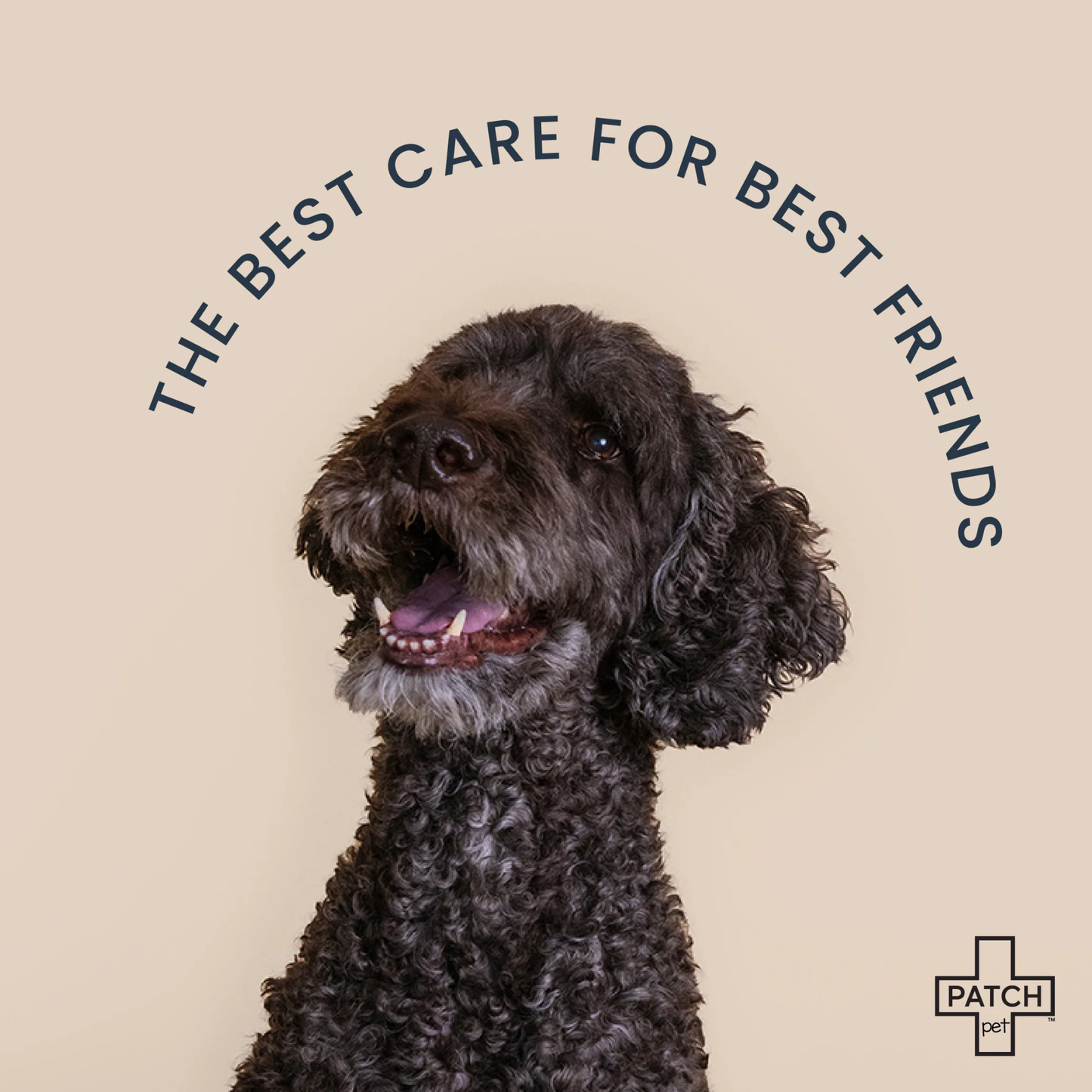 Patch - First-Aid Kit for Pets