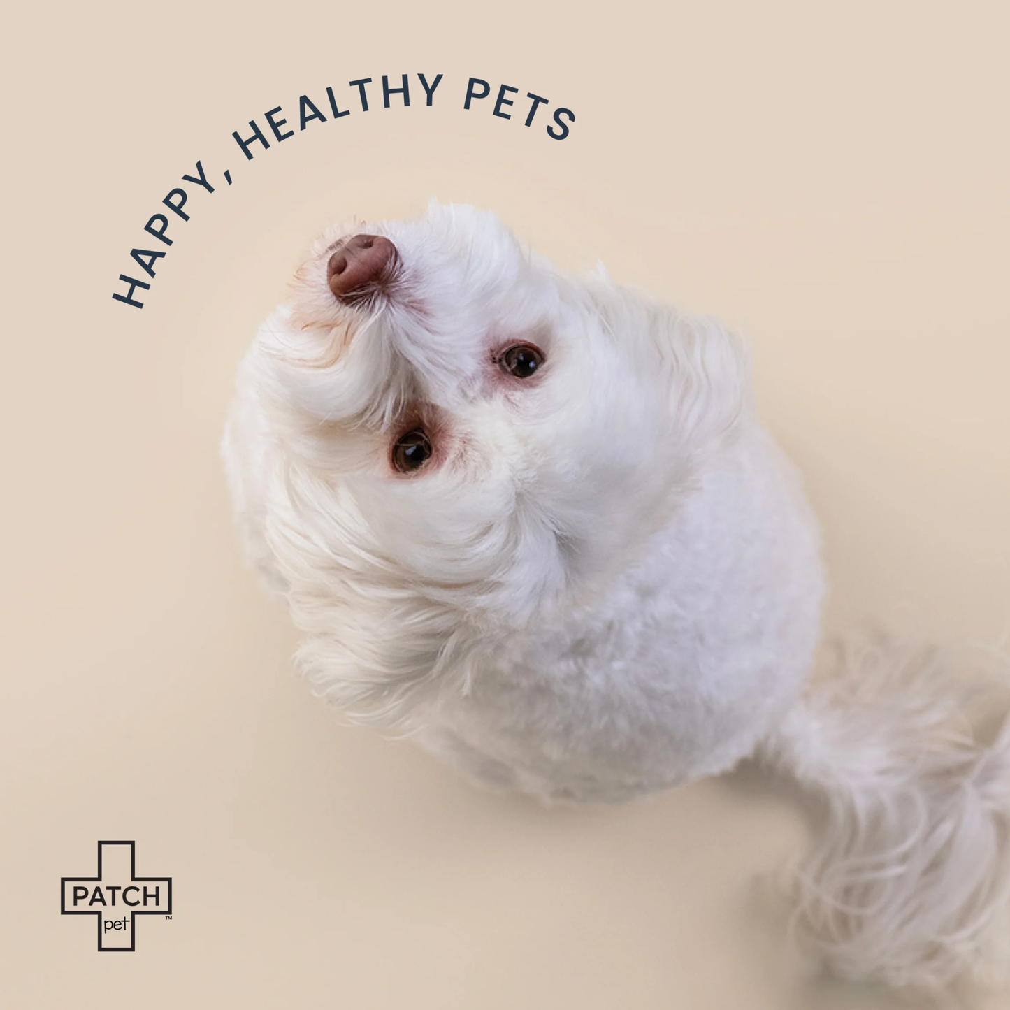 Patch - First-Aid Kit for Pets