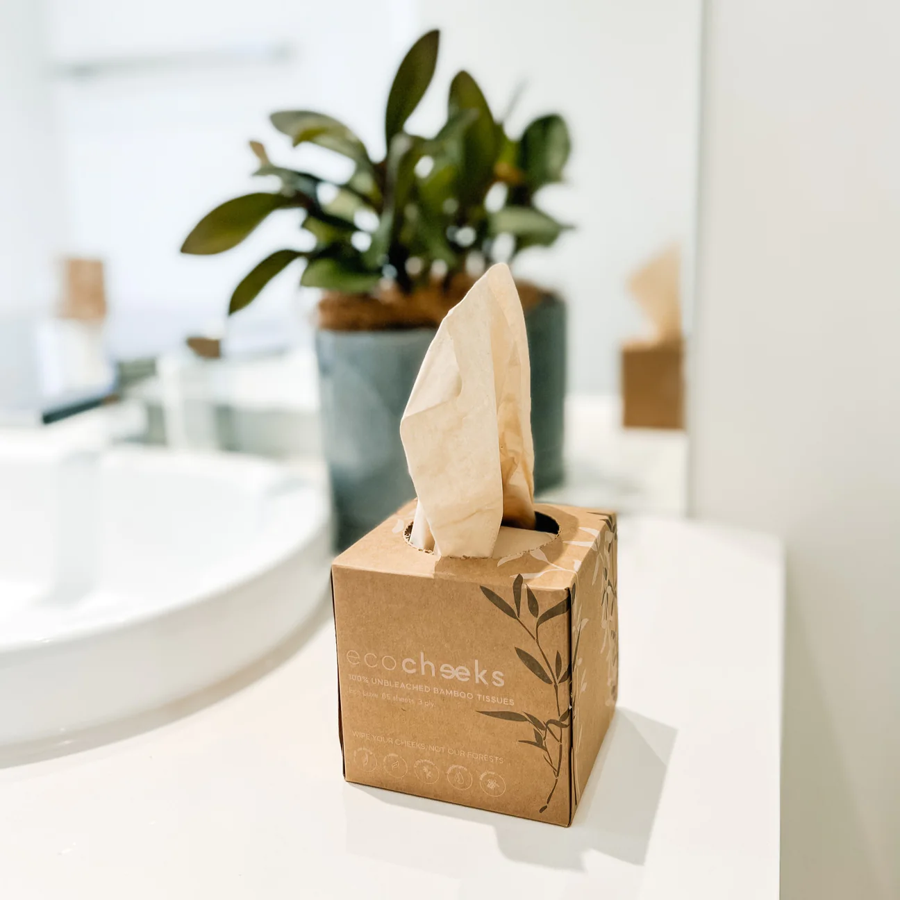 Eco Cheeks - Tissues