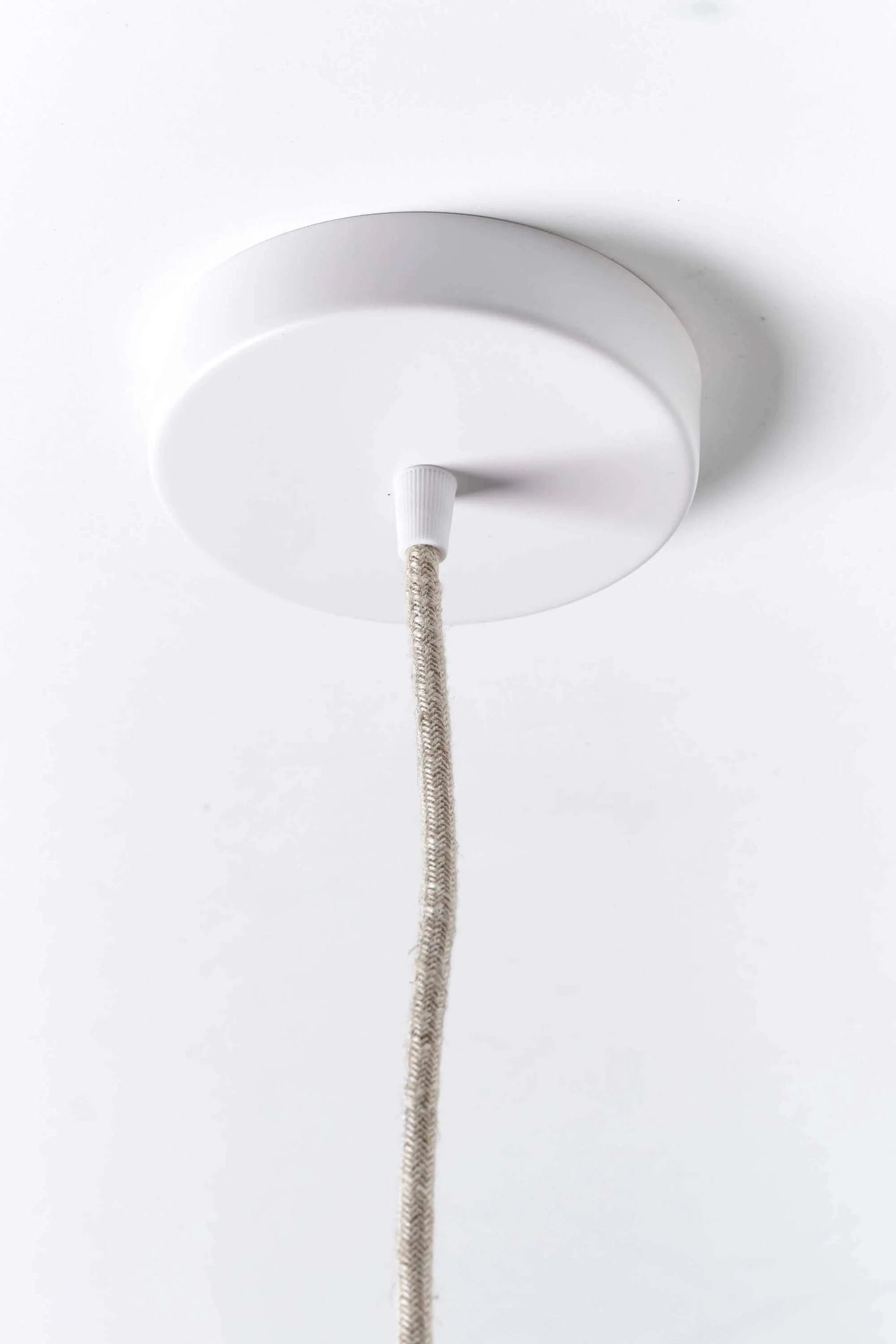 Her Hands - Pulp Pendant Lights (Scallop Pendant - Large)