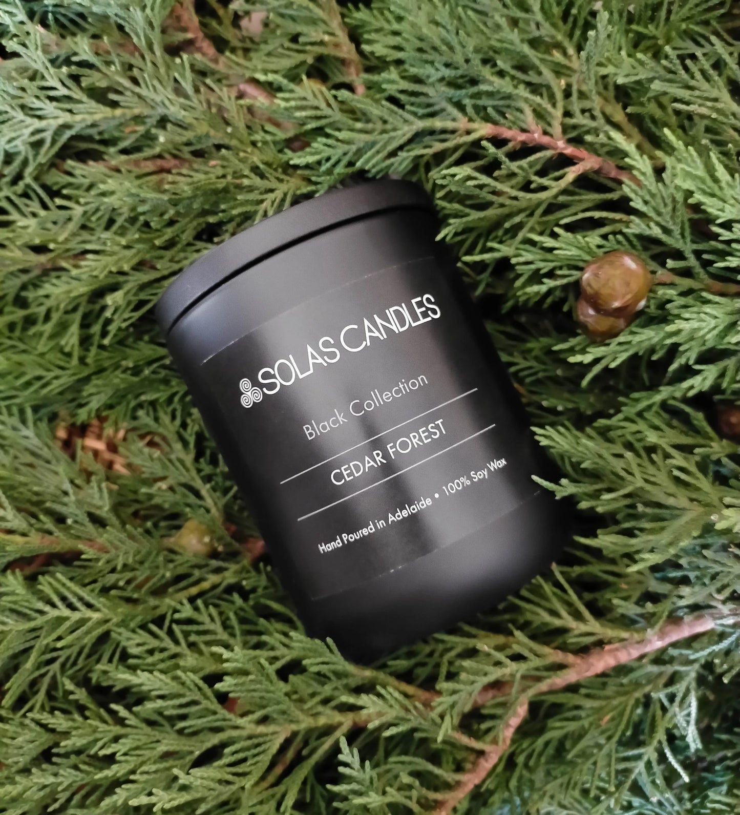 Solas Candles - Black Label Collection, Cedar Forest
