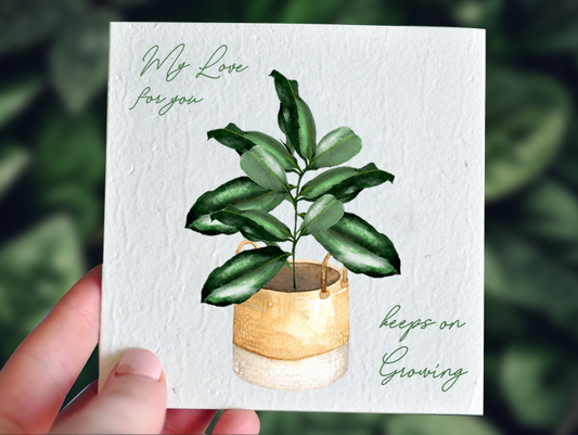 Nurturing Nature Cards - Eco-friendly plantable card with swan river daisies.