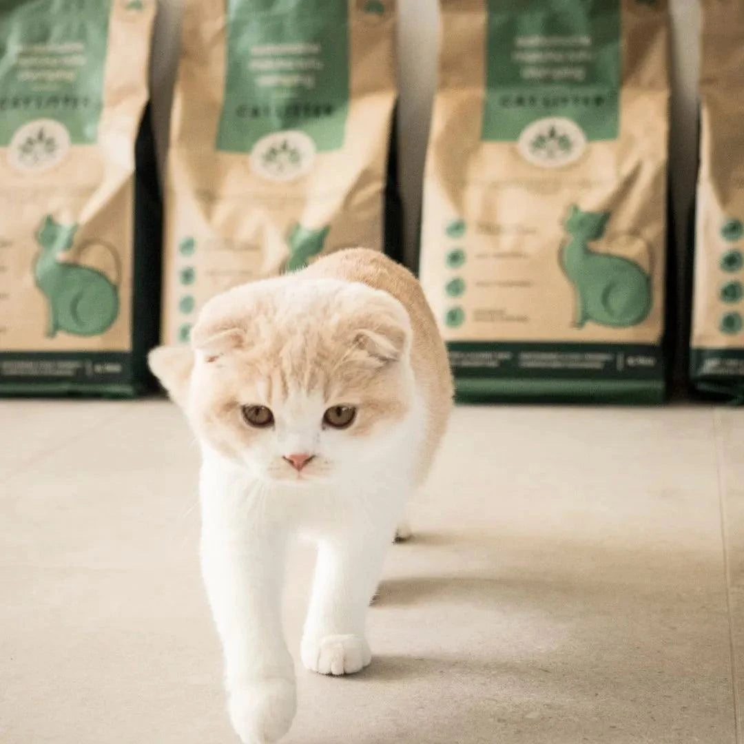 Best Fur Forward - Organic Tofu Cat Litter