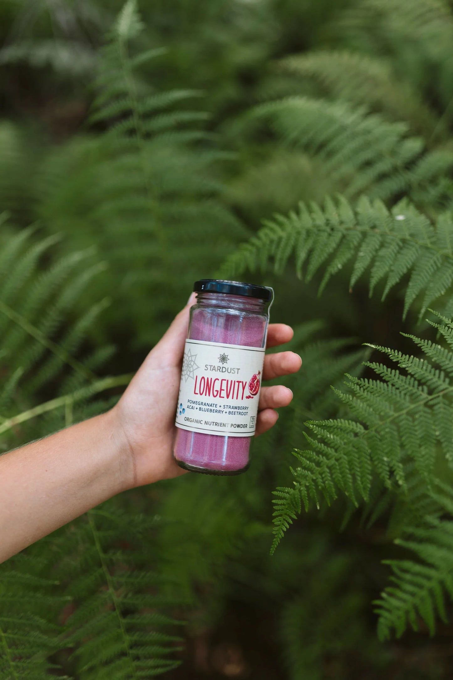 Mindful Foods - Stardust (Longevity)